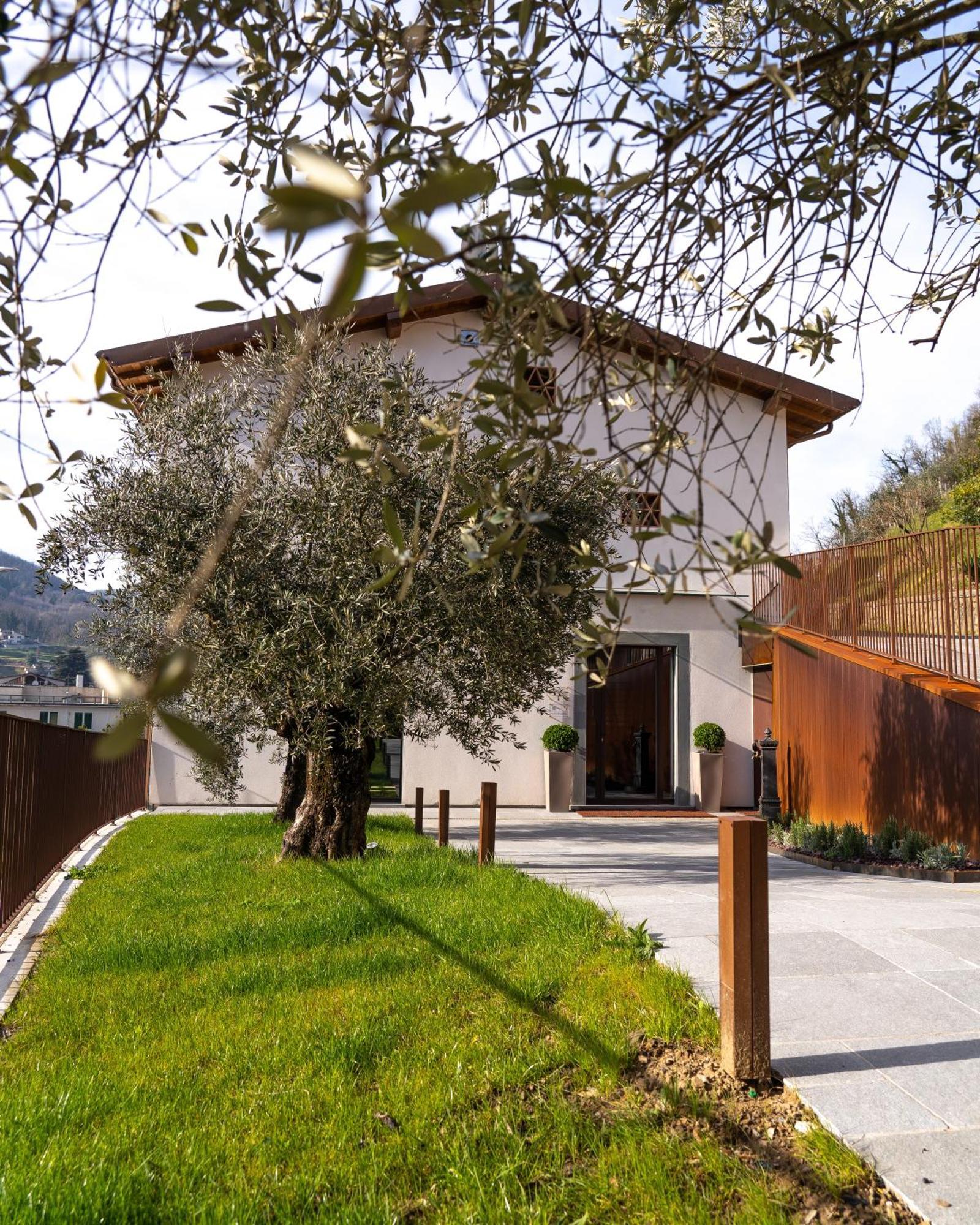 Il Pradicciolo Agriturismo Castelnuovo di Garfagnana Εξωτερικό φωτογραφία